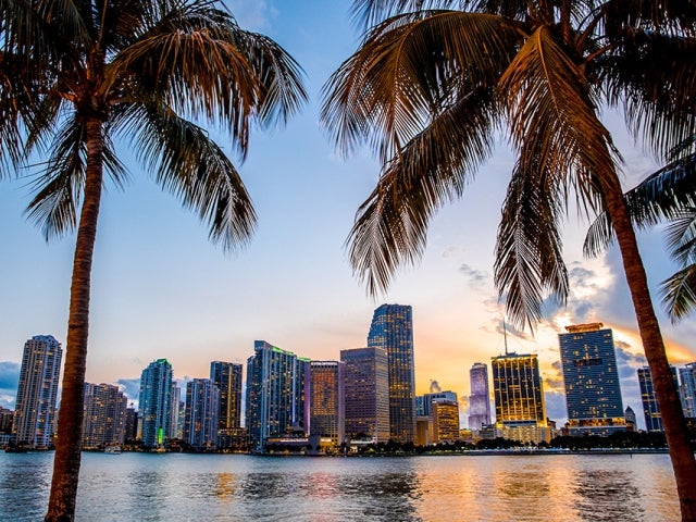 Skyscraper buildings on the water with palm trees in forefront