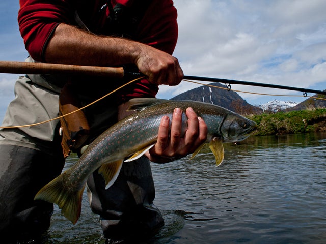fishing
