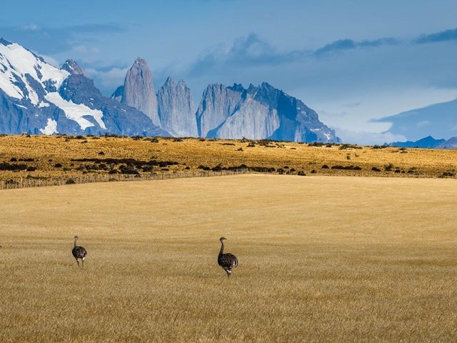 Torres Del Paine