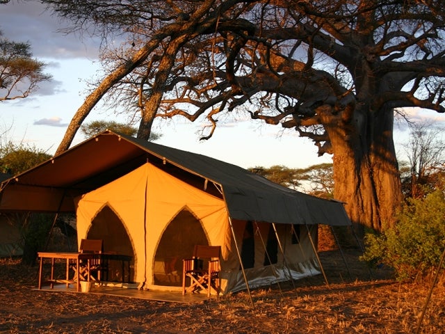 Safari tent