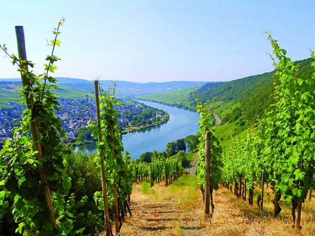 Moselle river