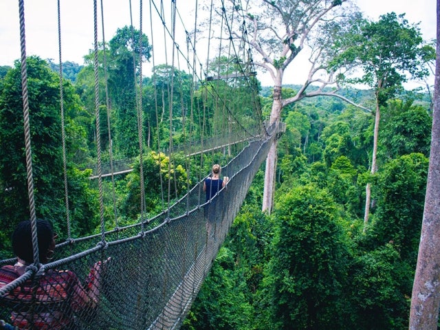 Kakum National Park