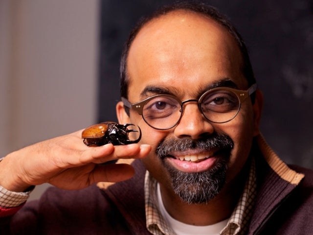 L. Mahadevan