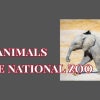 View the event details