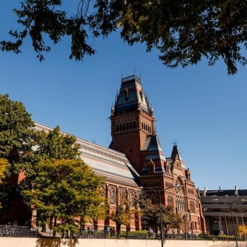 Memorial Hall framed by trees