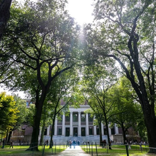 View of Widener Library from Harvard Yard