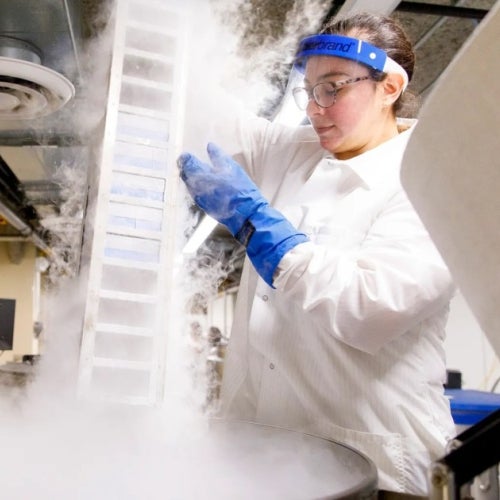 A researcher in a white lab coat and protective gloves lifts a tray from a cryogenic storage container, surrounded by clouds of vapor in a laboratory setting.