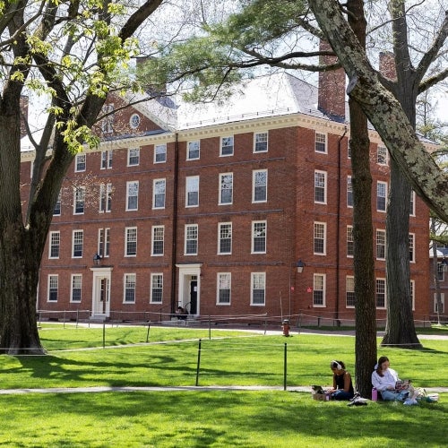 Two people sit on the grass studying beneath large trees in front of red-brick building in Harvard Yard on campus, with other people walking in the background on a sunny day.