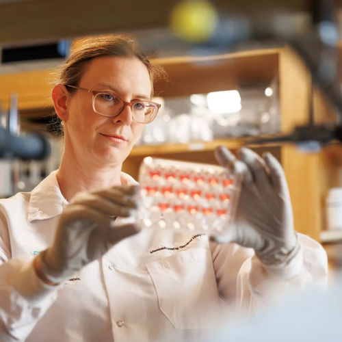 Christiane Wrann in her lab.