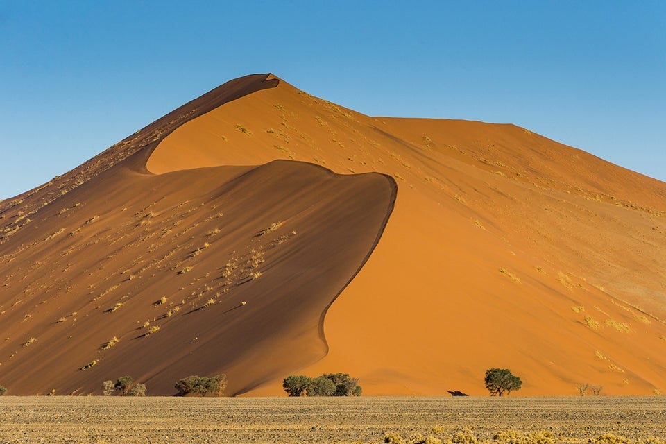 sand dune