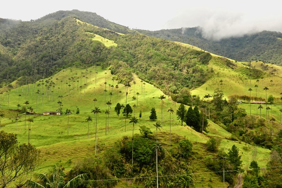 Mountains