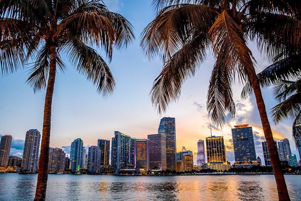 Skyscraper buildings on the water with palm trees in forefront