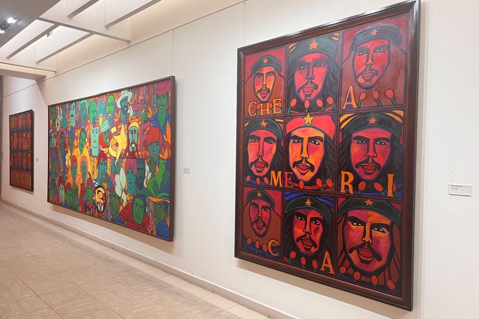 Bellas Artes e la Habana Raul Martinez