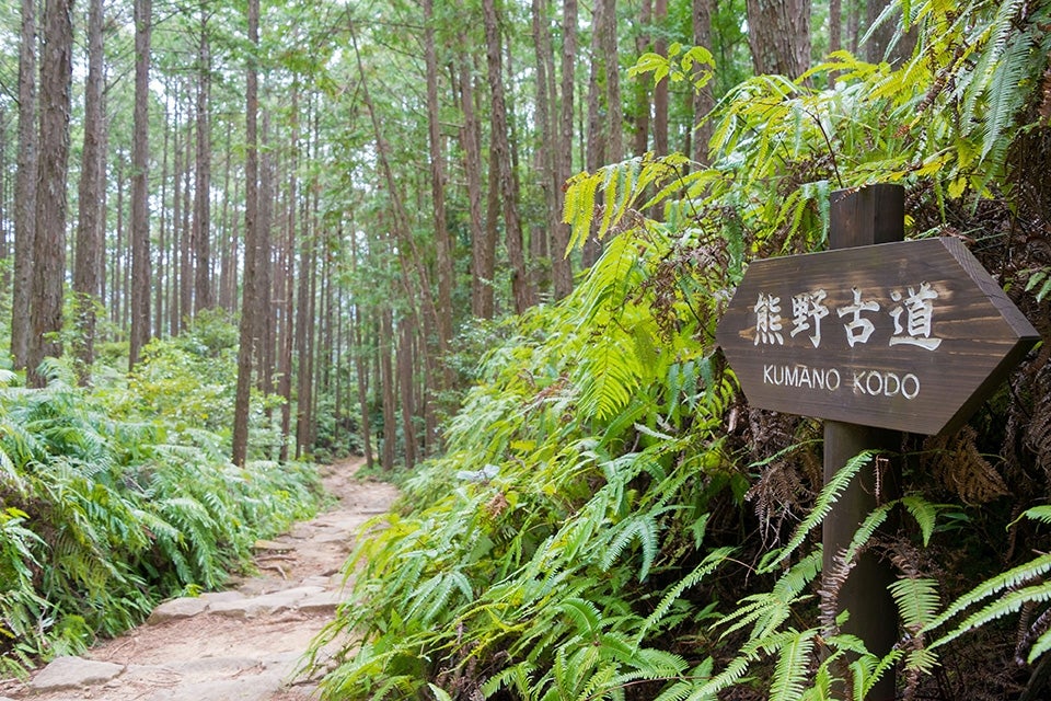 Kumano kodo trail marker