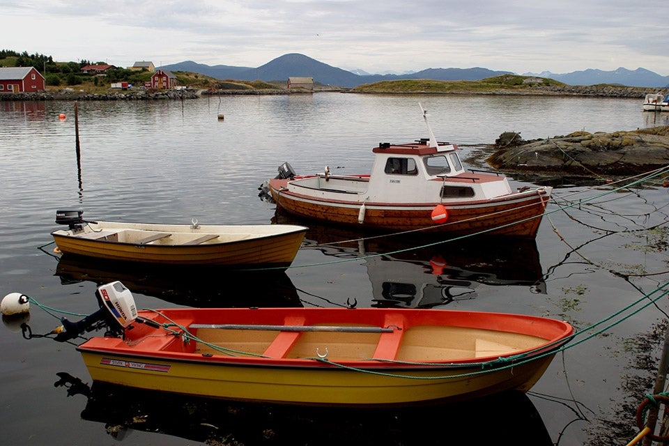 Boats - Ireland