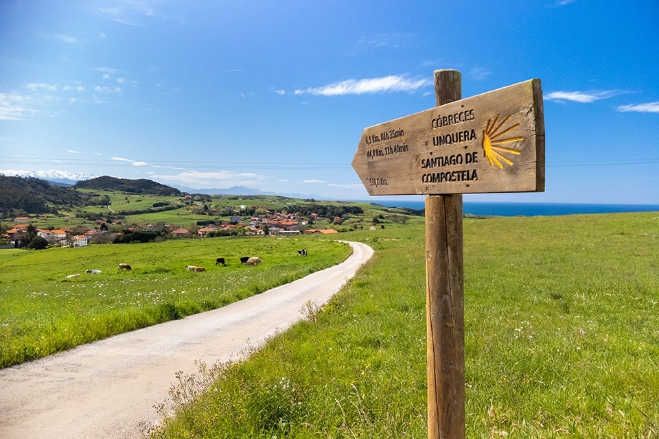 Camino de Santiago Trail Marker
