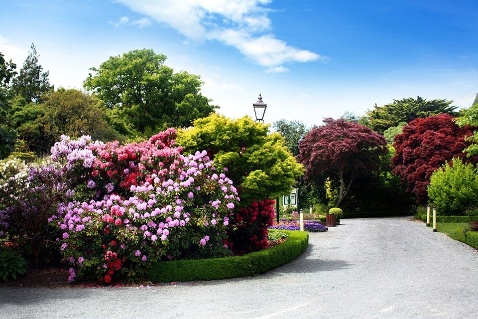 christchurch botanical garden