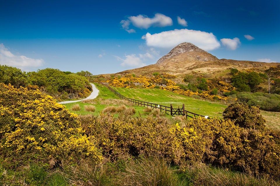 Connemara