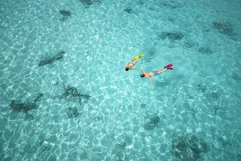 snorkeling