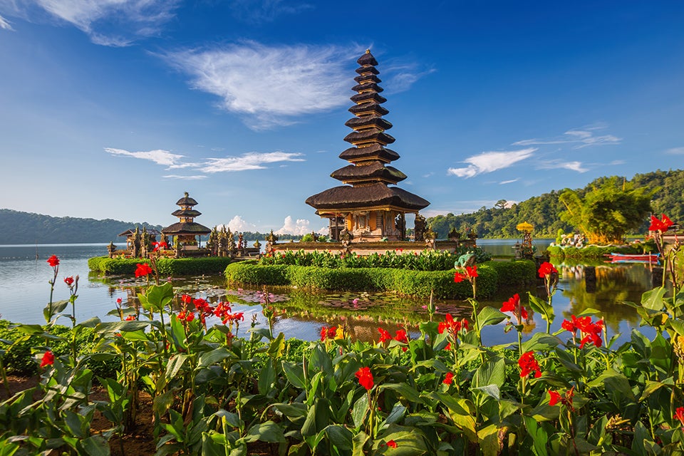 hindu flowers surrounded by temple
