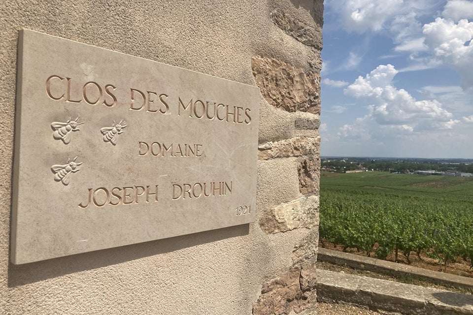 Sign at Close des mouches