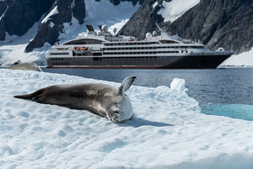 Seal