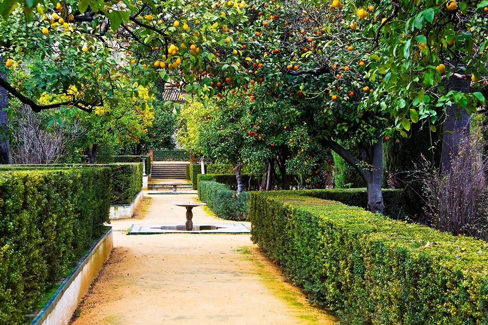 Reales Alcazares Gardens