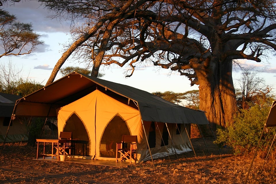 safari tent
