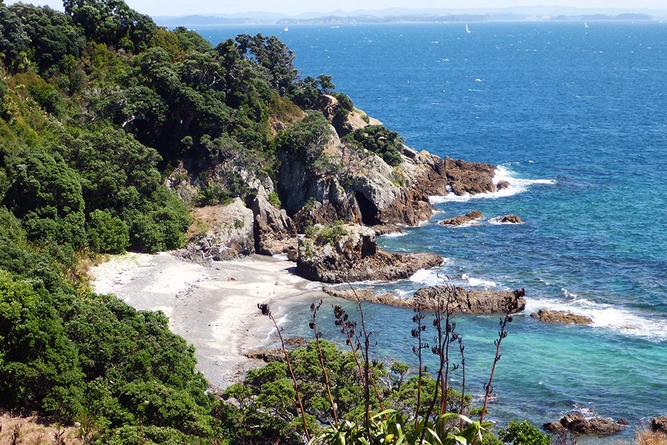 Tiritiri Matangi