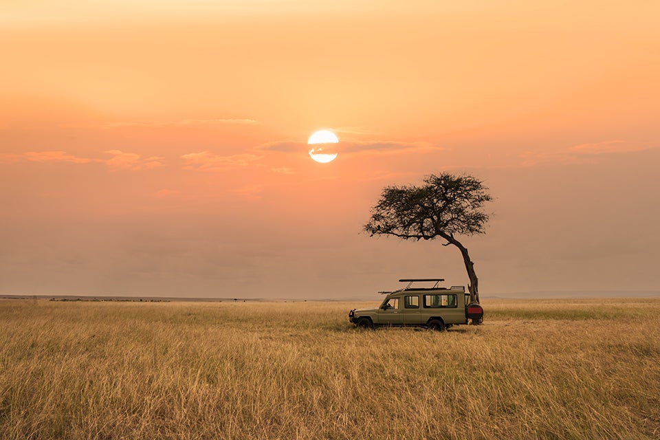 game drive