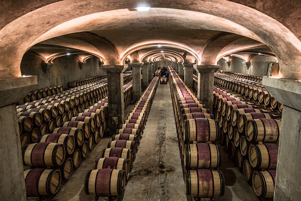wine cellar in Bordeaux