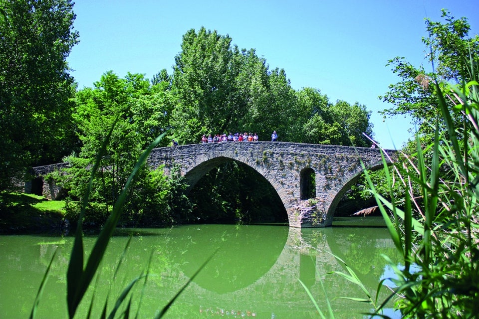 Pamplona bridge over water