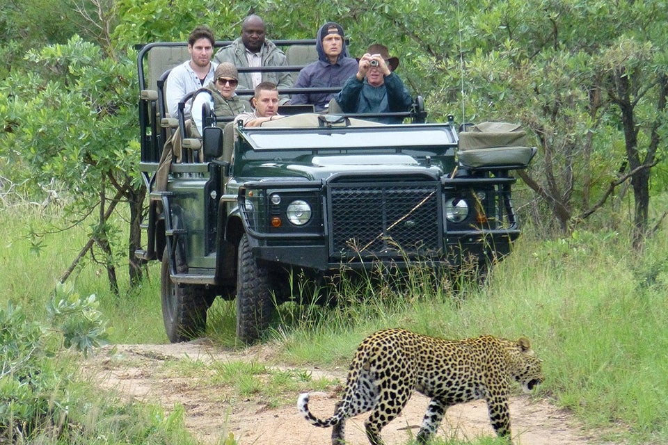 safari vehicle approaching leopard