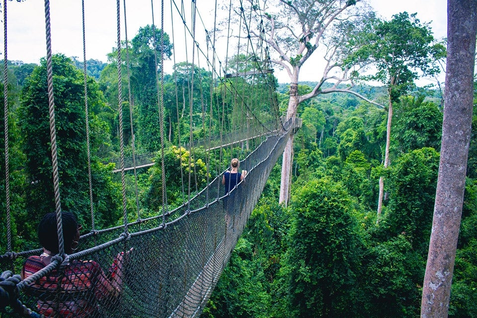 Kakum National Park