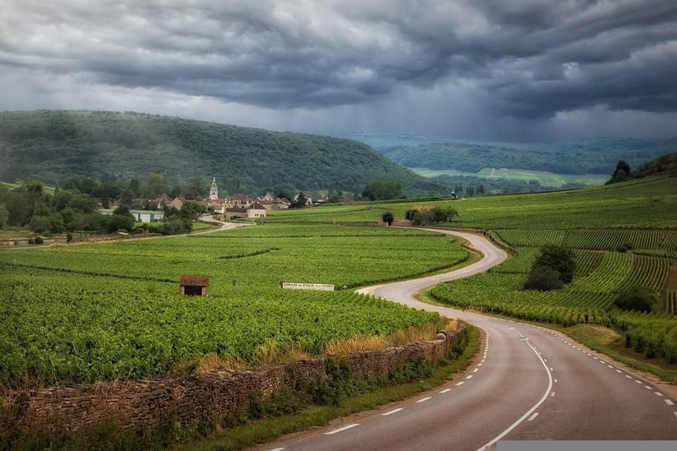 Winding road in Burgundy