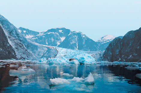 Alaskas Glaciers And The Inside Passage Haa Travels - 