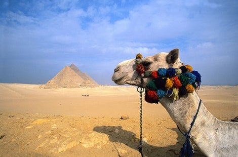 A Family Adventure Egypt The Nile Haa Travels Trips