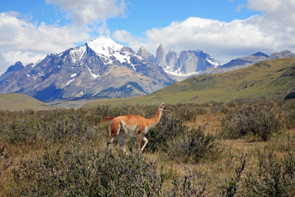 About Patagonia South America - Information & Facts from Quasar